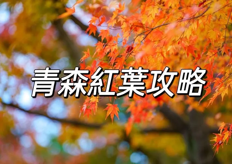 【日本紅葉2024】日本青森楓葉最佳觀賞時間 | 人氣日本賞楓景點推介！