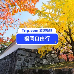【2026 福岡自由行】五天四夜行程懶人包!熱門景點/住宿/美食/交通一篇搞定