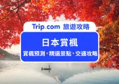 2025 日本賞楓景點 Top 10+ 推薦|超詳細日本各地楓葉預測資訊持續更新中!