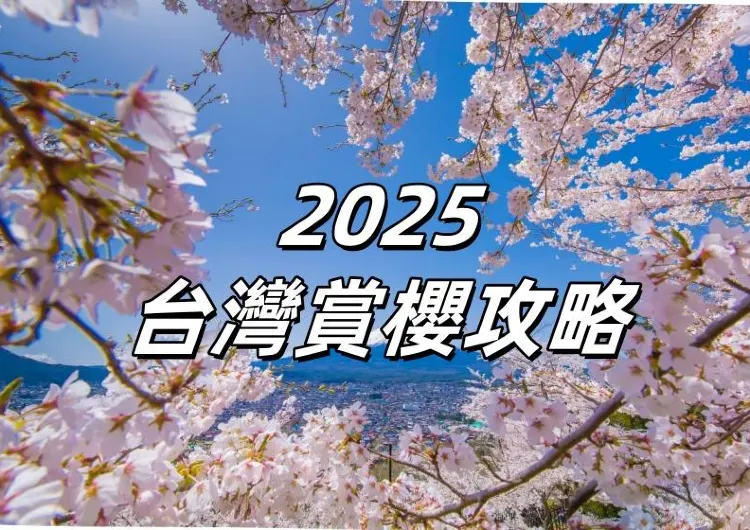 【2025台灣櫻花】司馬庫斯率先開放賞櫻通道，探索全台2025最美櫻花景點，最佳觀賞時機，地點等訊息一覽 