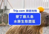 2025墾丁鹿ㄦ島水豚生態園區懶人包｜交通、門票優惠攻略這裡找！