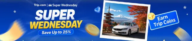 Trip.com Promo Code Singapore: Car Rental