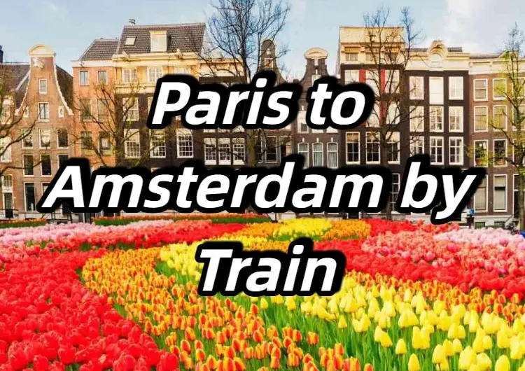 【Paris to Amsterdam by Train】Trains, Tickets & Top Destinations Guide