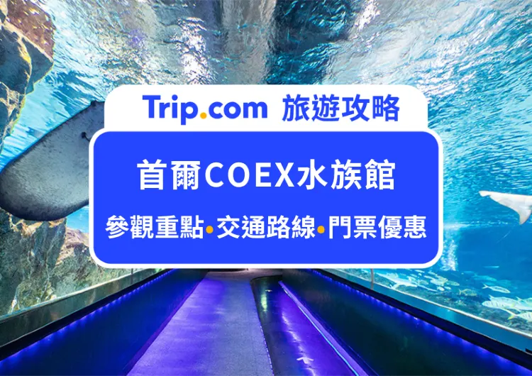 首爾市超大的室內水族館！2026COEX AQUARIUM水族館全攻略：門票推薦、交通路線、參觀重點，親子遊玩及雨天備案首選景點