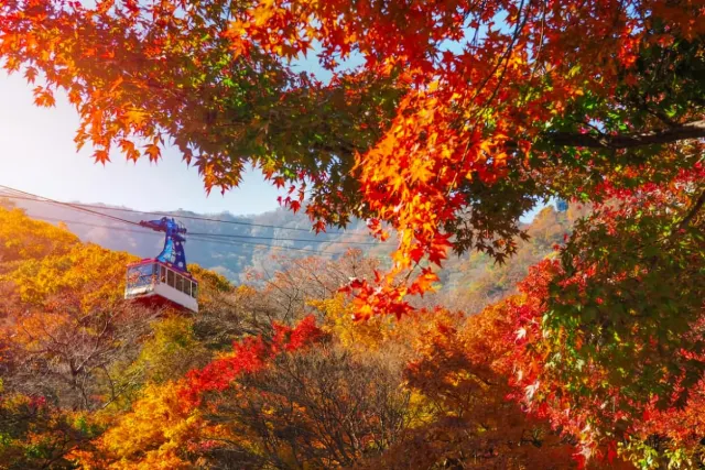 金剛公園