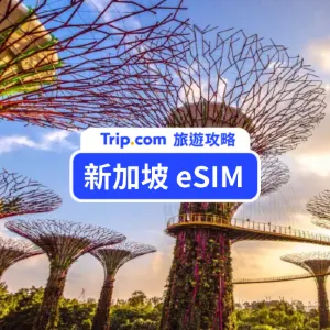 【新加坡 eSIM 推薦】eSIM 吃到飽優惠、安裝教學總整理