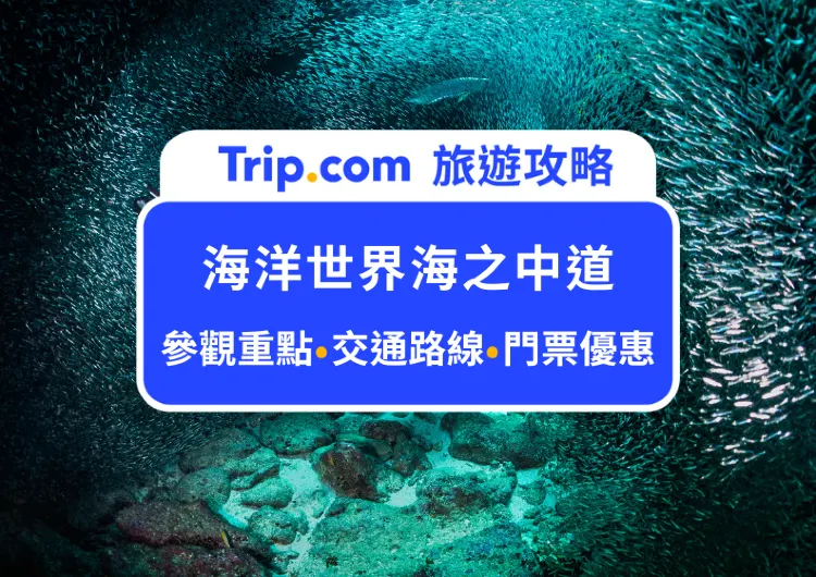 2025超萌小海獺餵食秀!福岡海洋世界海之中道全攻略|水族館門票價格、參觀重點與交通路線,一起來探索熱門的親子景點