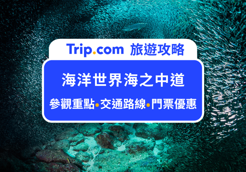 2026超萌小海獺餵食秀！福岡海洋世界海之中道全攻略｜水族館門票價格、參觀重點與交通路線，一起來探索熱門的親子景點
