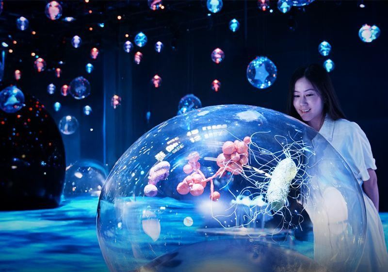 Exploria: Mandai Unveils Southeast Asia’s Largest Indoor Nature-Themed Multimedia Experience