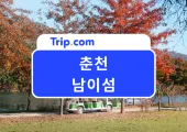 2026 애견동반 가능한 춘천 남이섬 여행 후기 | 가는법, 입장권 예약, 배 시간, 짚라인, 놀거리, 맛집까지!