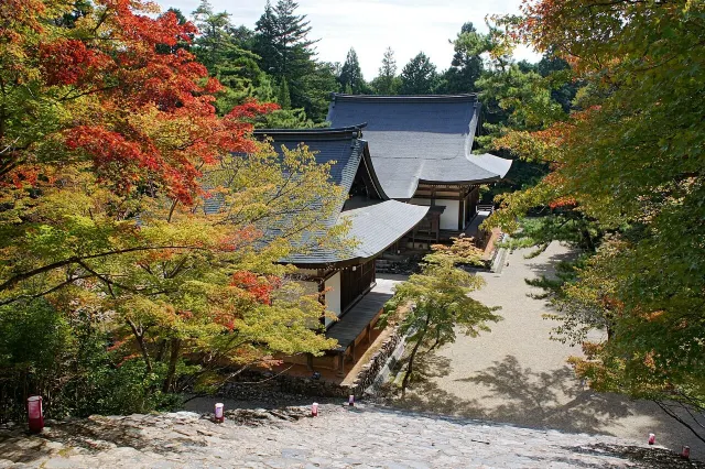 写真：高雄山神護寺｜Wikimedia Commons（663highland／CC BY-SA 3.0 / CC BY 2.5）