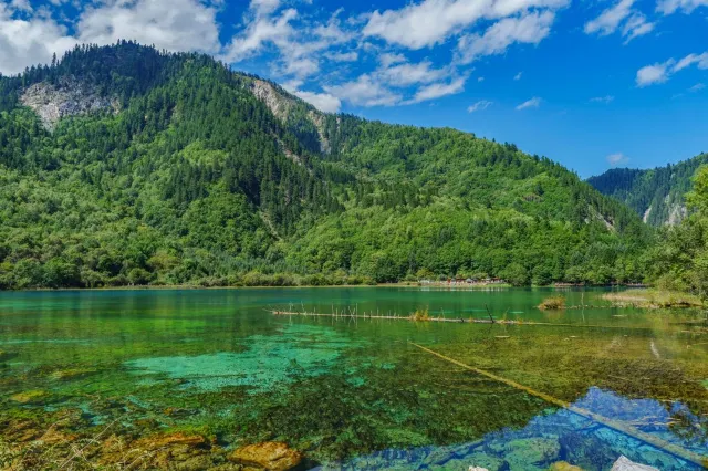 A wide lake framed by forested mountains in Jiuzhaigou Valley