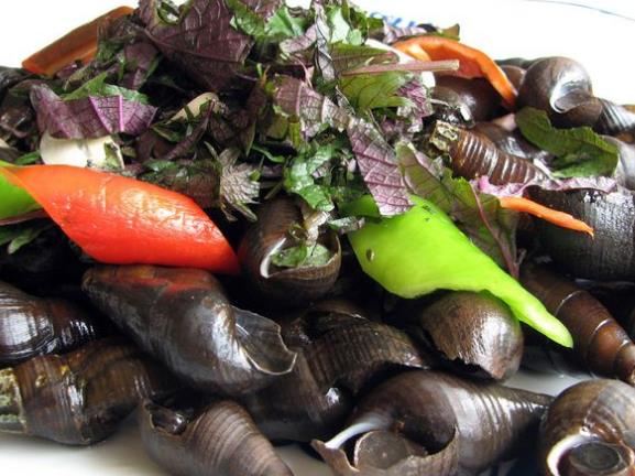 鼎湖山酒家山坑螺