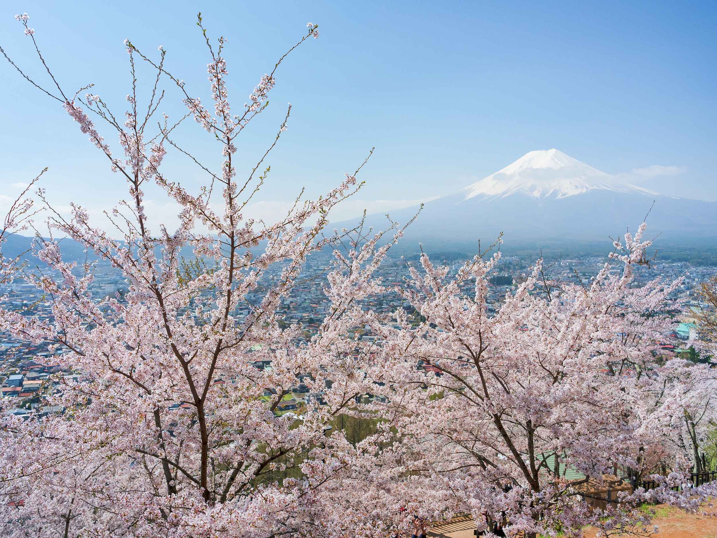 新倉山淺間公園