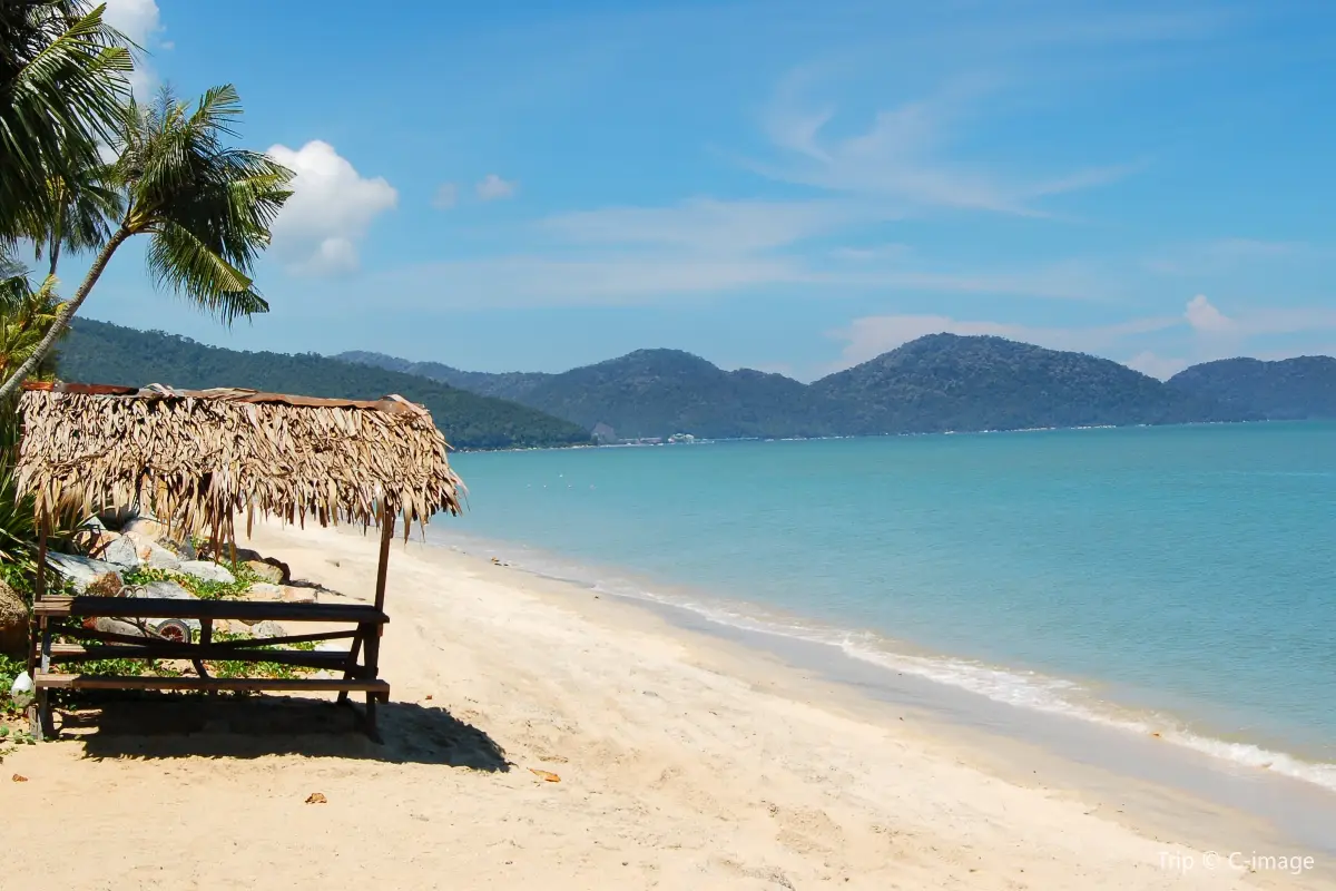 An image of a beach side