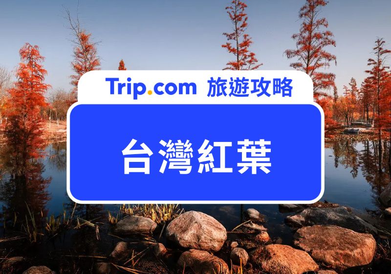 台灣紅葉