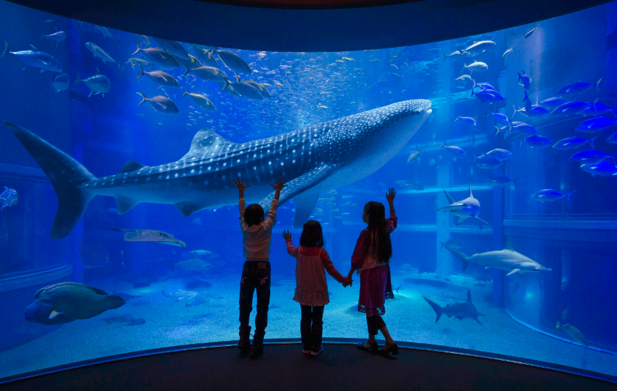 大阪海遊館