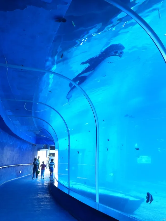 小梅沙海洋世界