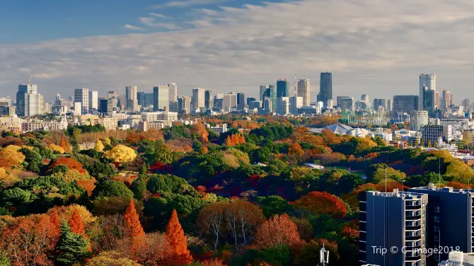 東京天氣, 新宿御苑