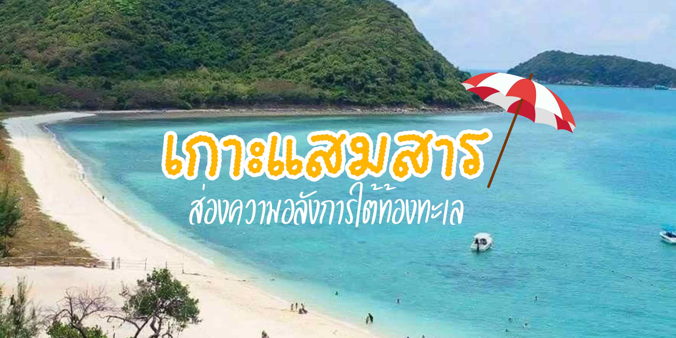 พาเที่ยวเกาะแสมสาร ทะเลสวยน้ำใส ดำน้ำ ดูปะการัง พายเรือคายัค เดินทางง่าย เหมาะสำหรับ One Day Trip ไม่ต้องง้อวันลา พร้อมแนะนำที่พักเด็ดใกล้เกาะแสมสาร ฟินทั้งทริป
