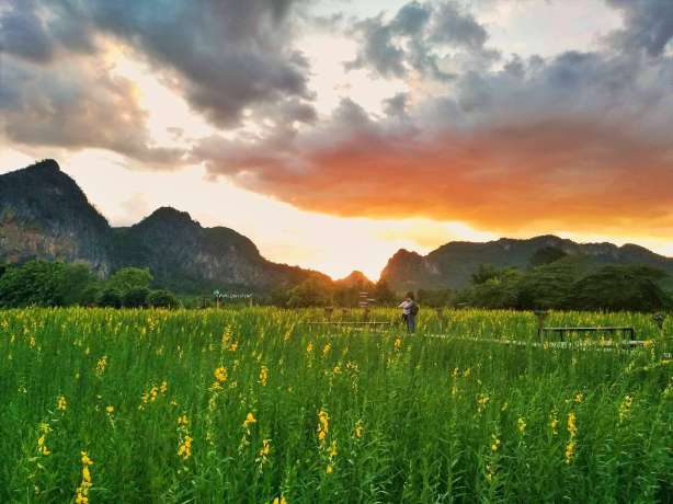 ชุมชนท่องเที่ยวเชิงวัฒนธรรมบ้านนาน้ำซำ - ที่เที่ยวภูผาม่าน