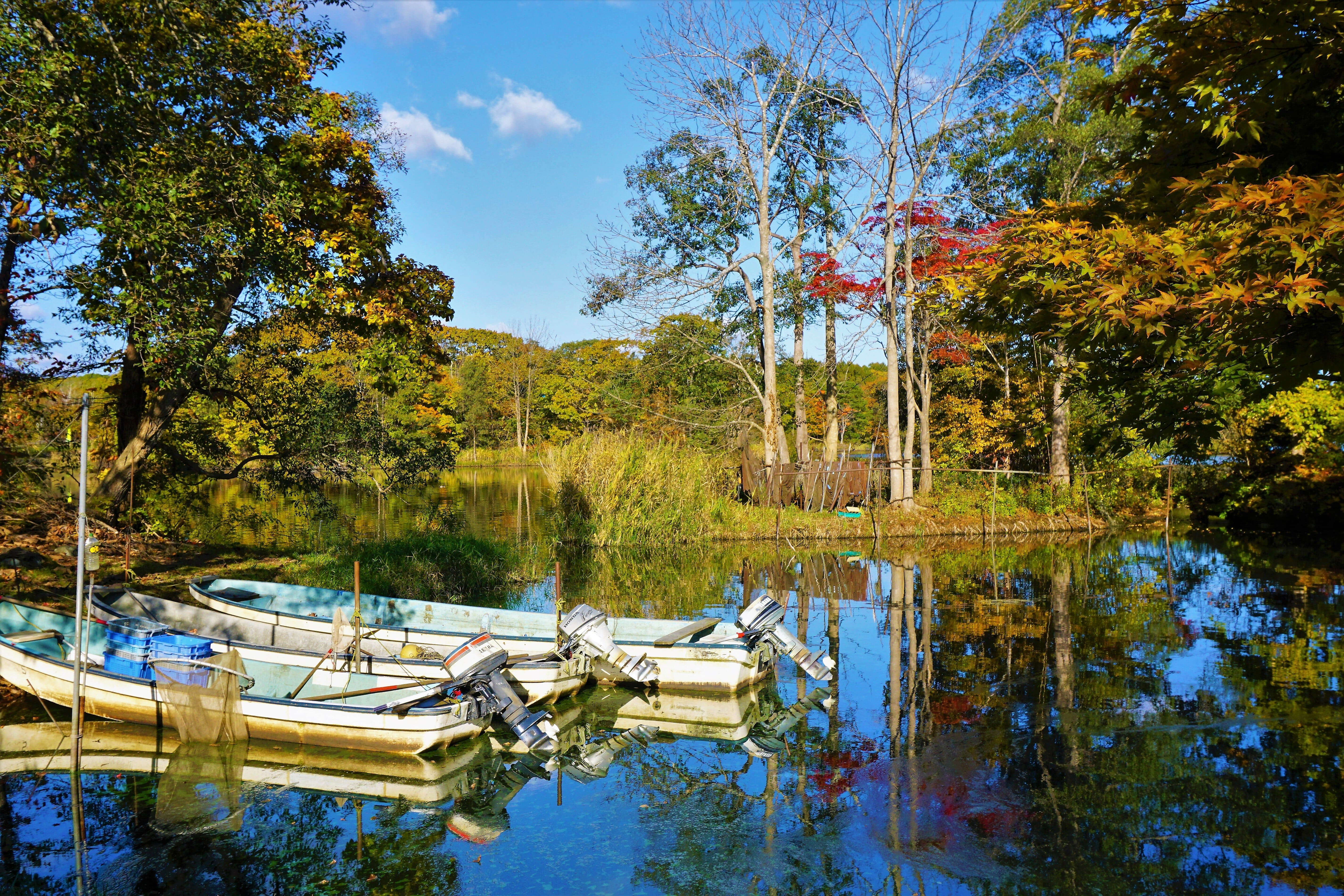 อุทยานแห่งชาติโอนุมะ