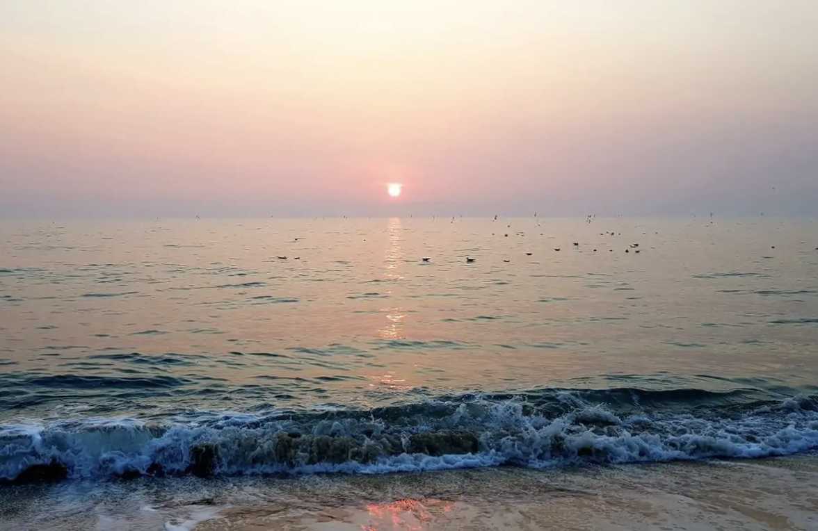 대천 보령 가볼만한곳 머드축제