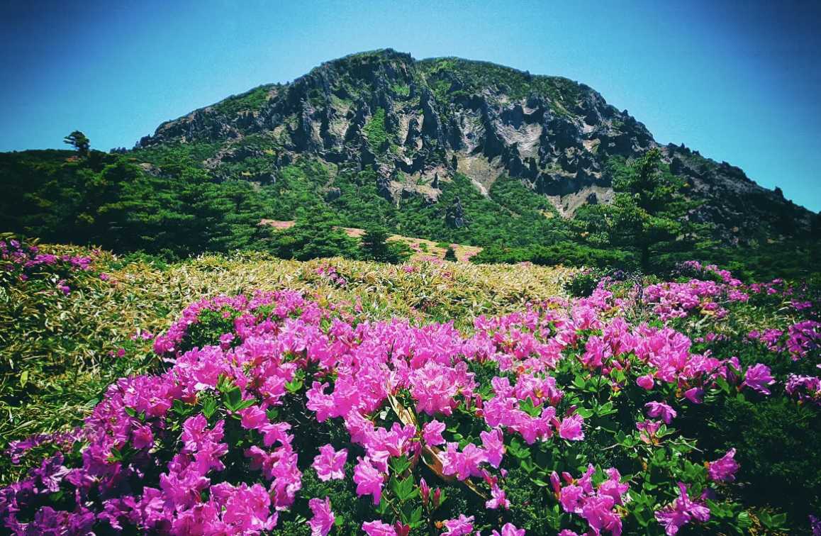 漢拿山國立公園 
