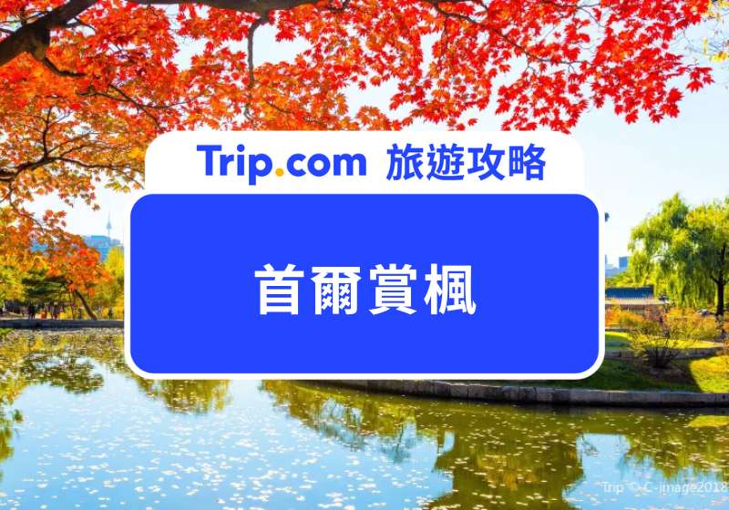 首爾賞楓
