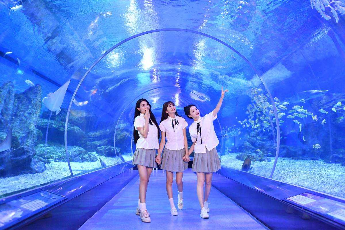 武漢景點 #13 海合安武漢極地海洋公園|東西湖區