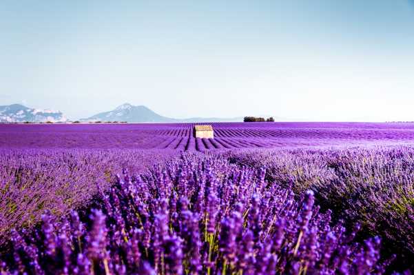 อุณหภูมิฝรั่งเศส ฤดูร้อน