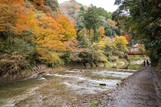 養老渓谷
