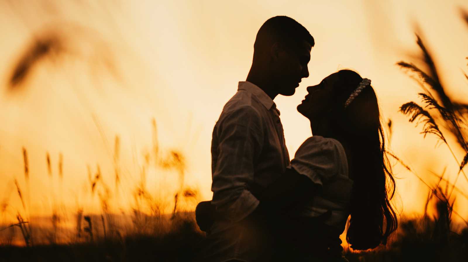 A couple embracing at sunset, in silhouette, surrounded by tall grasses beneath an orange sky