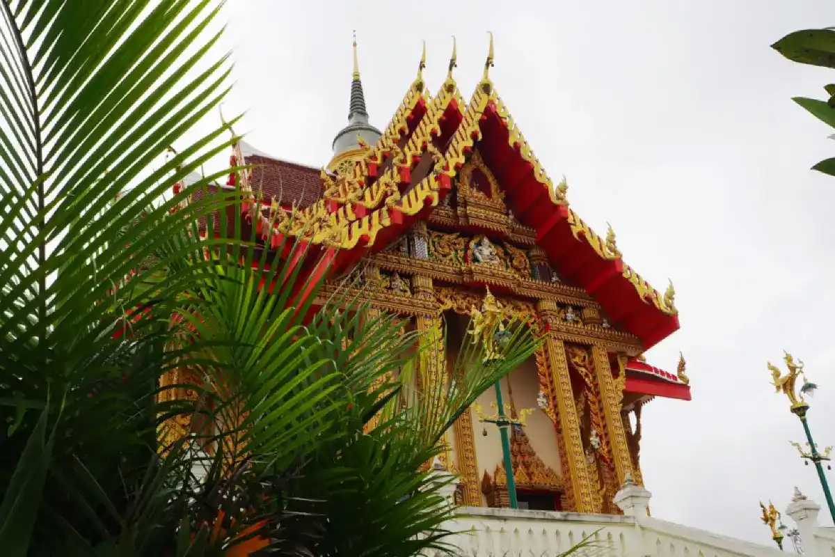 วัดป่าภูหายหลง