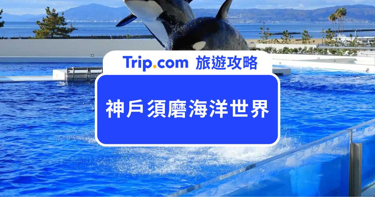 【神戶須磨海洋世界門票】票價、交通、虎鯨表演與附近景點一次看 | Trip.com