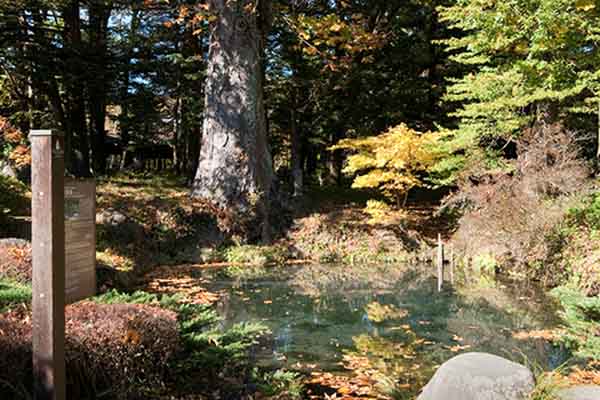 忍野八海景點 #3 底拔池