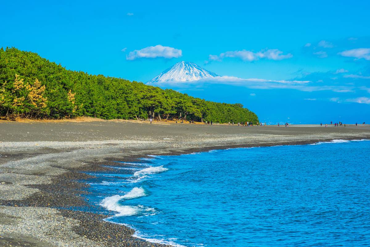 世界遺產松林海岸,富士山絕景名所。