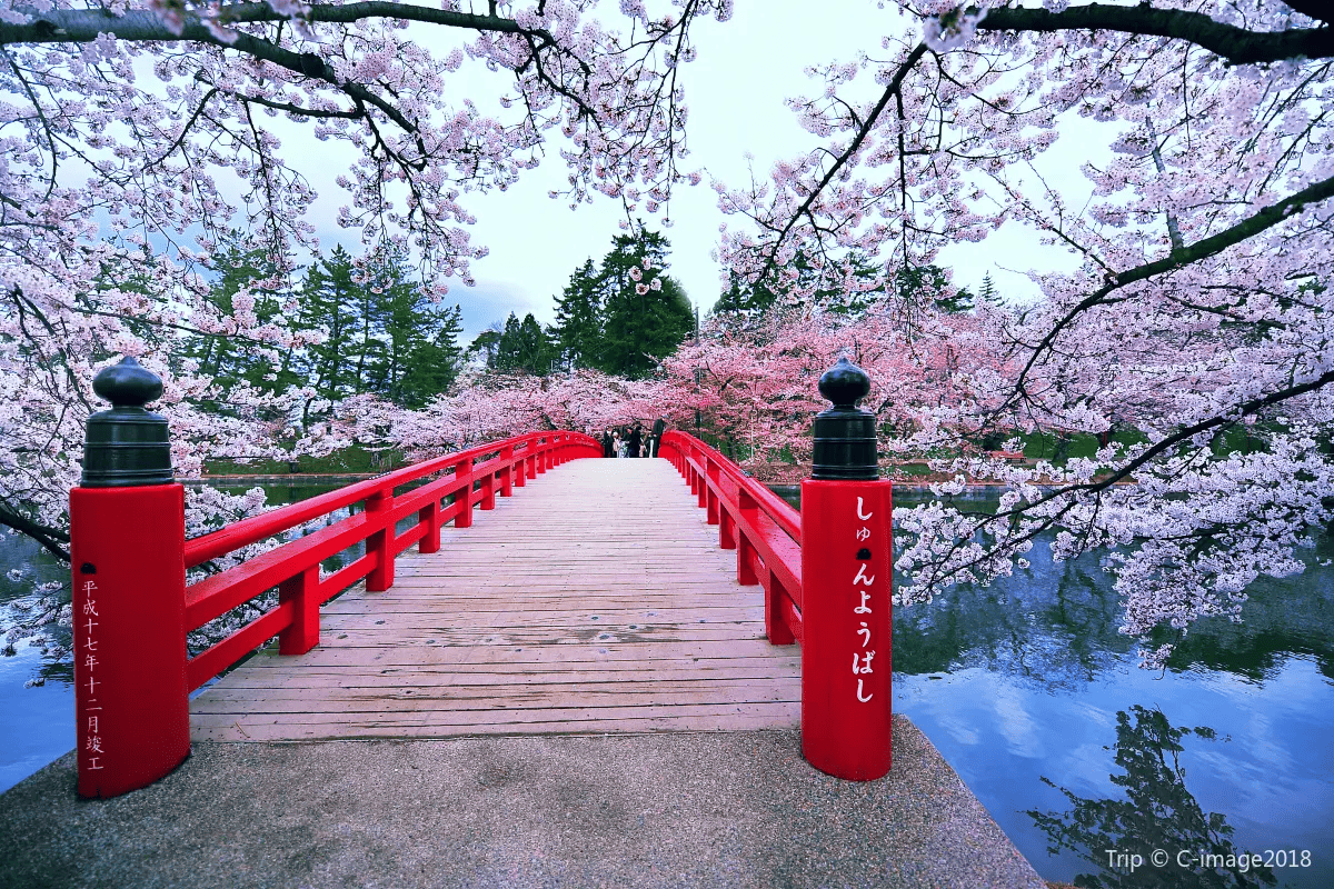 青森景點 #3 弘前城