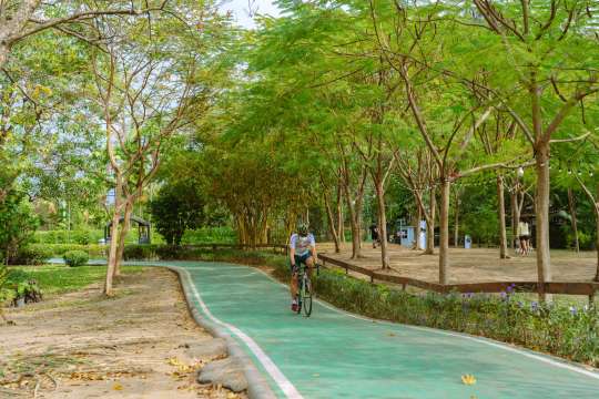 ปั่นจักรยานชมบรรยากาศ