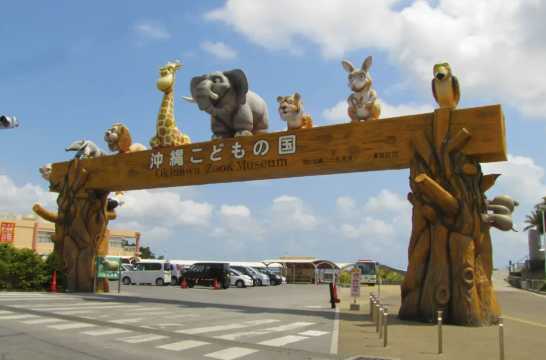 오키나와 어린이나라 티켓