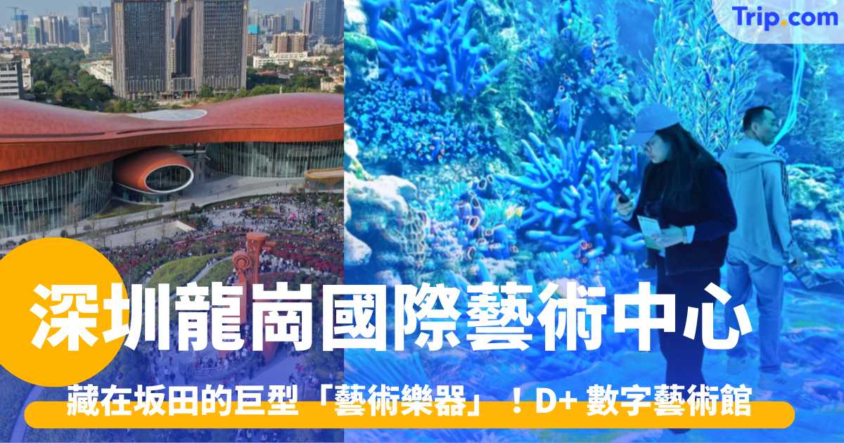 深圳龍崗國際藝術中心 2026 藏在坂田的巨型「藝術樂器」！D+ 數字藝術館 | Trip.com