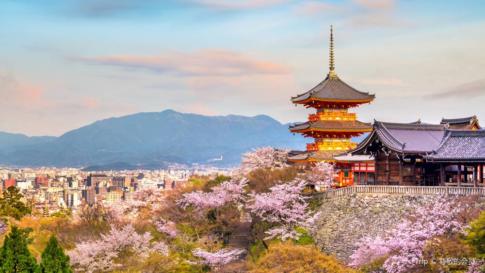 日本近畿必訪景點 #5 清水寺
