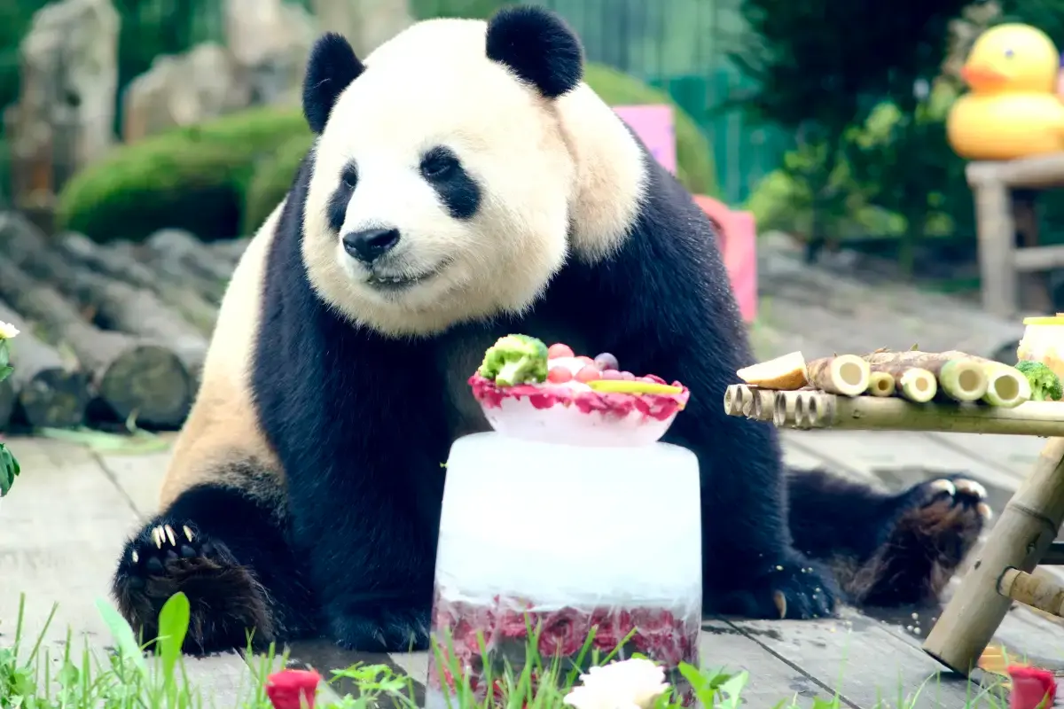 大連森林動物園