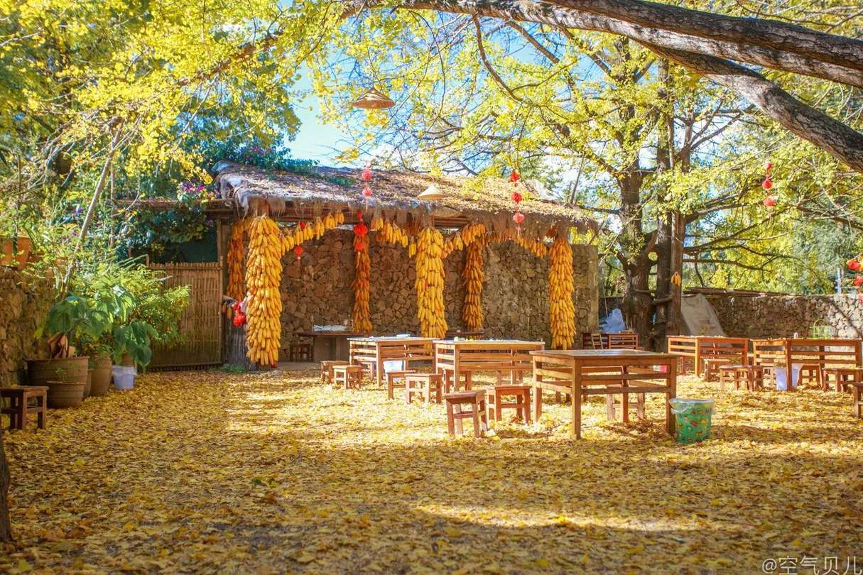 雲南天氣 - 秋季氣候