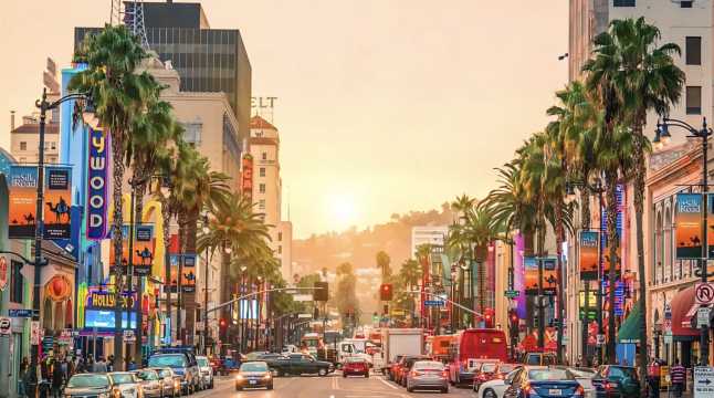 미국 입국심사 비자