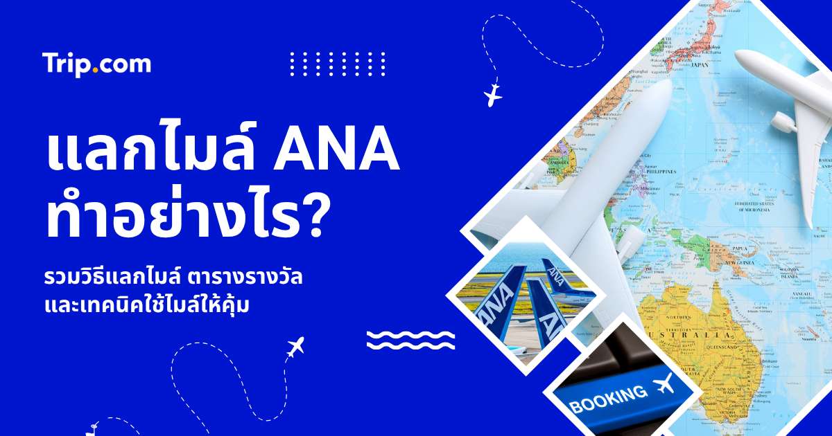 คู่มือแลกไมล์ ANA 2569: ตารางแลกไมล์ วิธีสะสม และเทคนิคบินคุ้มทุกชั้น | Trip.com