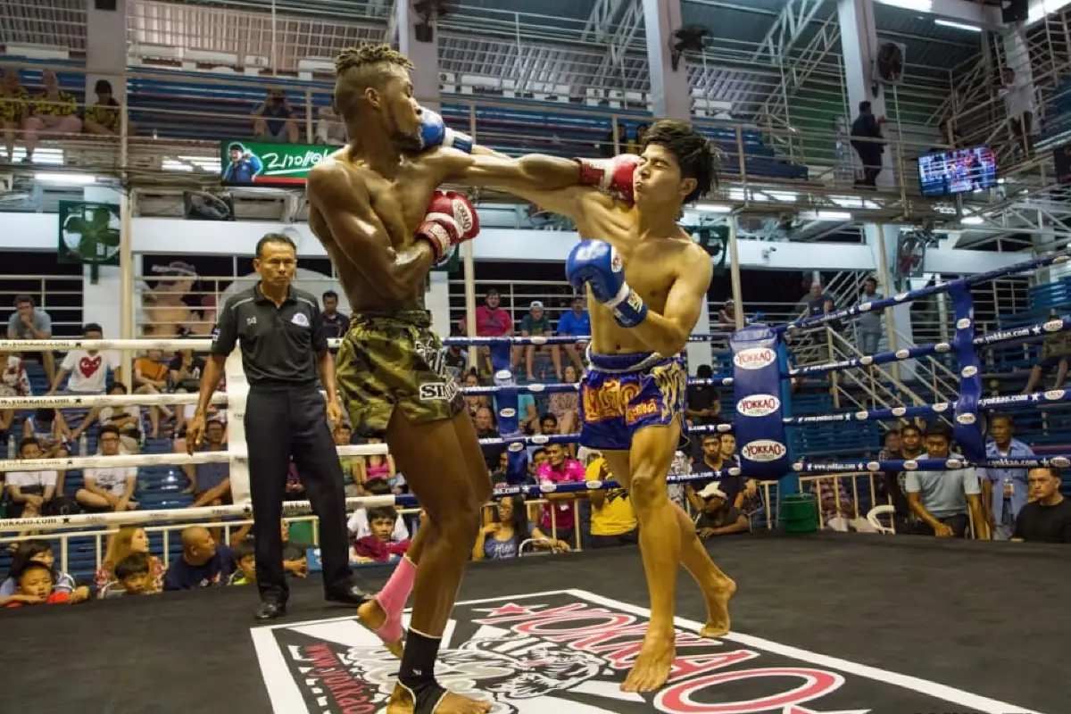 Muay Thai fighters