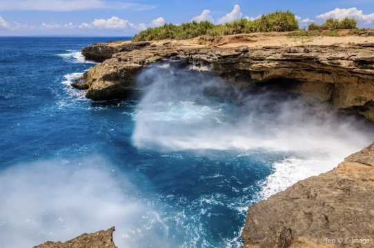 발리 입국신고서 작성