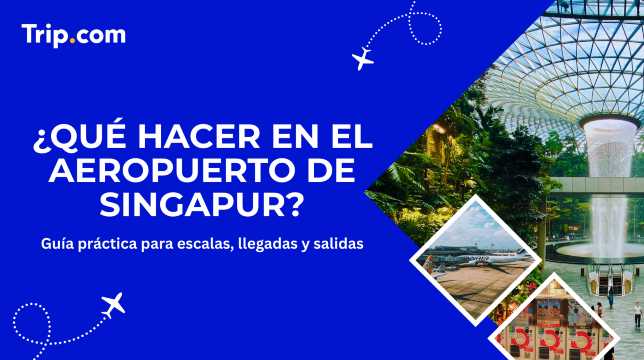 Qué hacer en el aeropuerto de Singapur: guía para tu escala