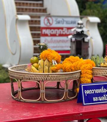 วัดป่าแดด